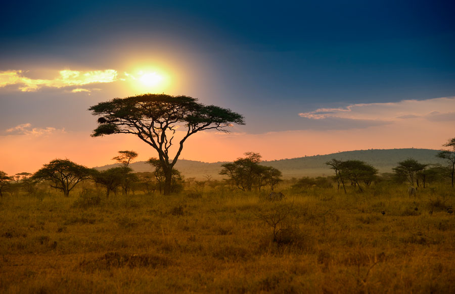 Africa Sunset